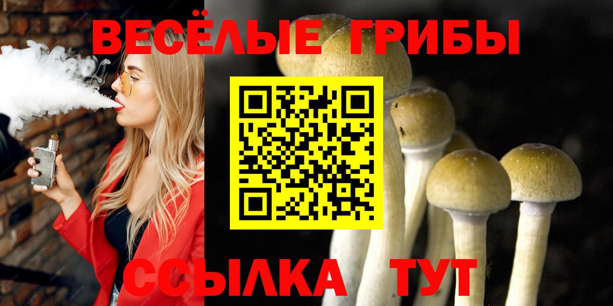 Галлюциногенные грибы Psilocybine cubensis  Псилоцибиновые грибы мицелий  Кузнецк  Вход с VPN 