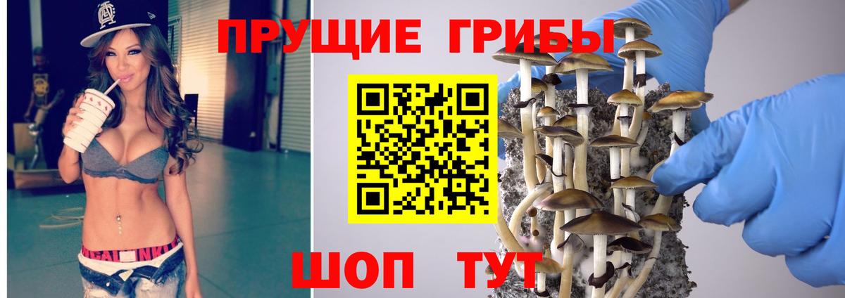 Псилоцибиновые грибы Psilocybine cubensis Кузнецк